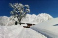 /album/a1/exterier5-jpg/