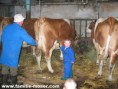 /album/photo-gallery-zvieratka-u-nas/baueri-jpg/