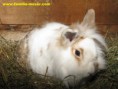 /album/photo-gallery-zvieratka-u-nas/img-8311-jpg/